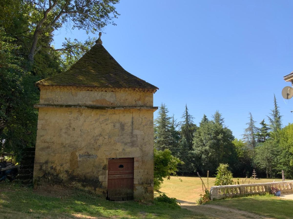 Chateau D'Argentonesse Castels Zewnętrze zdjęcie
